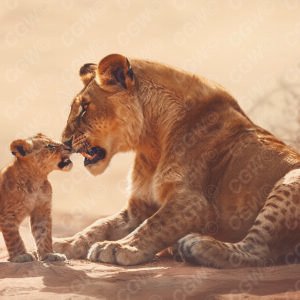 LC007-Lioness and Cub